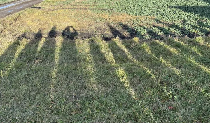 Działka budowlana Niedrzwica Duża, ul. Akacjowa