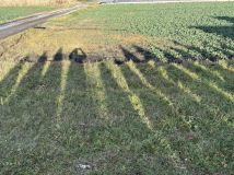 Działka budowlana Niedrzwica Duża, ul. Akacjowa