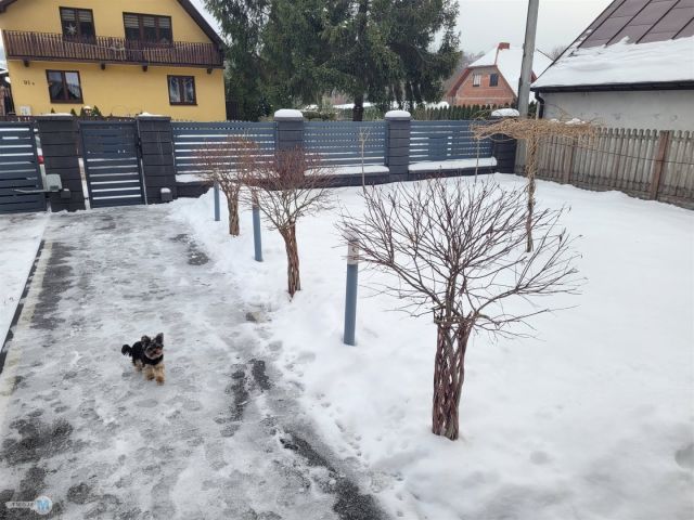 dom, 3 pokoje Daleszyce. Zdjęcie 28