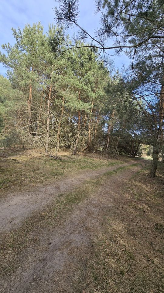 Działka rolno-budowlana Ostrykół Włościański. Zdjęcie 3