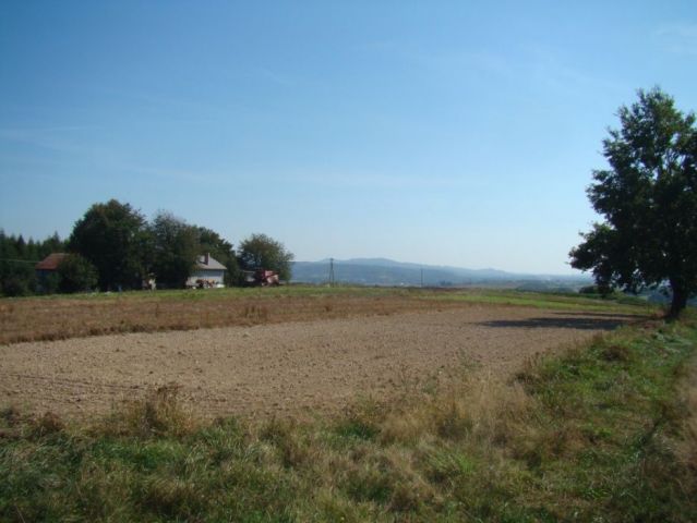 Działka rolno-budowlana Przybówka. Zdjęcie 1
