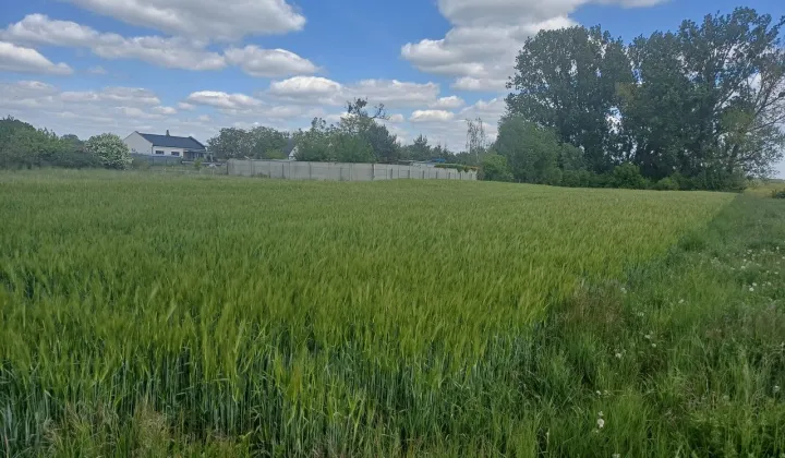 Działka budowlana Gaj Wielki, ul. Kościelna