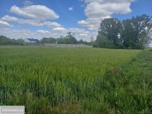 Działka budowlana Gaj Wielki, ul. Kościelna