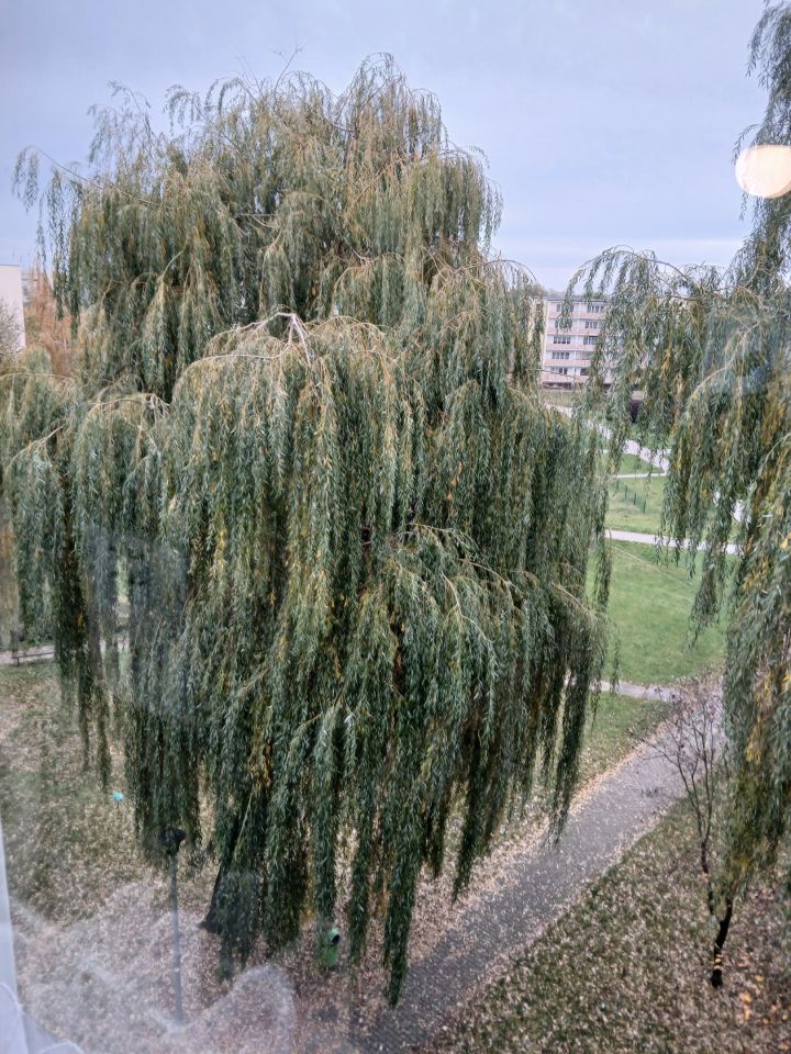 Mieszkanie 3-pokojowe Brodnica, ul. Wincentego Witosa. Zdjęcie 6