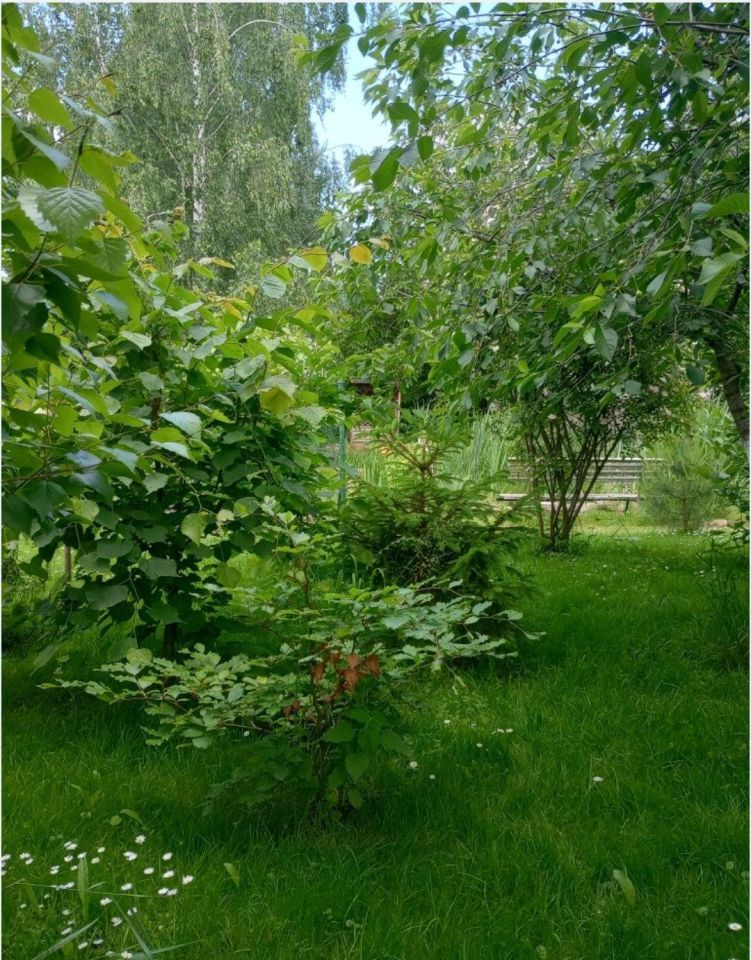 Działka budowlana Piława Górna Kośmin, ul. Stefana Okrzei. Zdjęcie 11