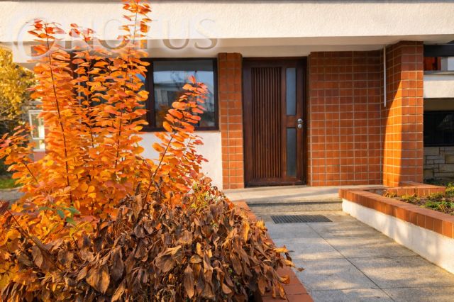 dom wolnostojący, 5 pokoi Ciechocinek. Zdjęcie 2