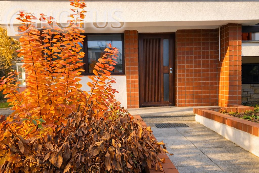 dom wolnostojący, 5 pokoi Ciechocinek. Zdjęcie 2