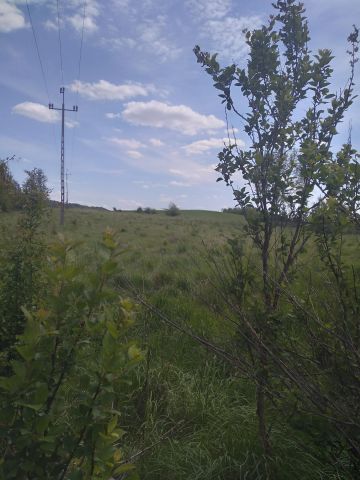 Działka rolno-budowlana Ugoszcz, Dworcowa. Zdjęcie 1