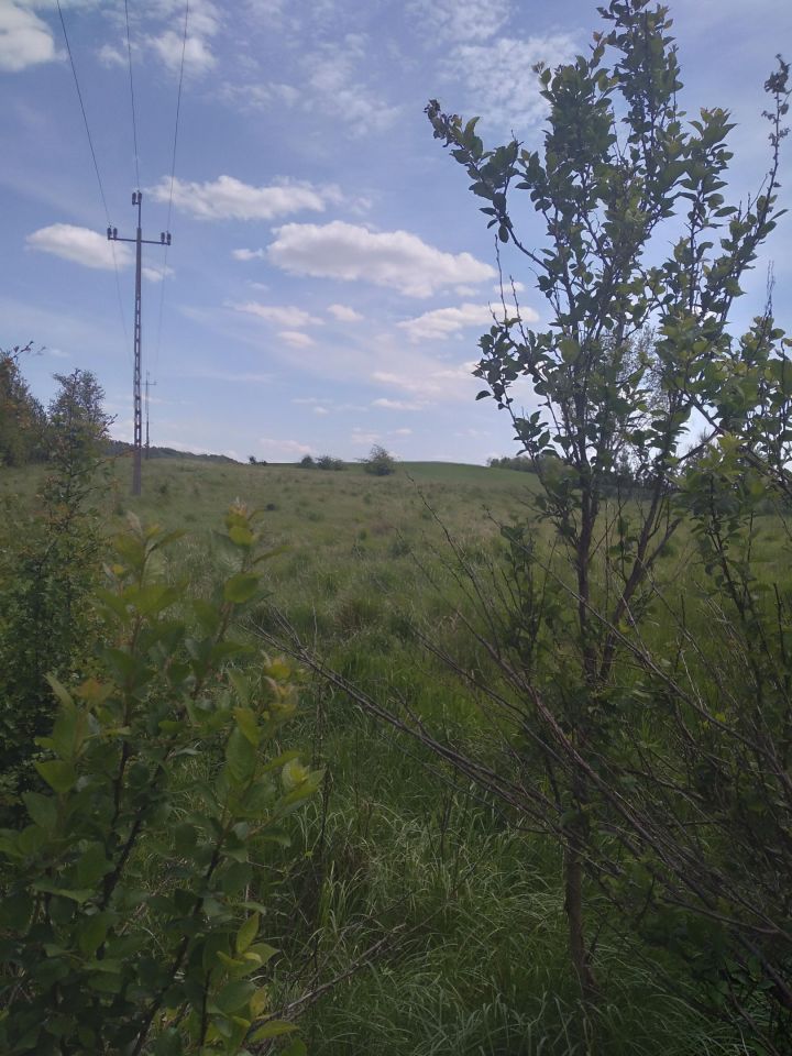 Działka rolno-budowlana Ugoszcz, Dworcowa. Zdjęcie 1