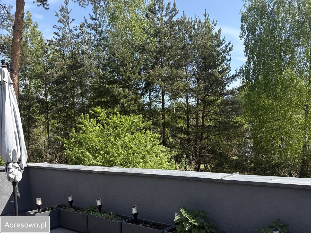 Mieszkanie 4-pokojowe Kolonia Brużyca. Zdjęcie 15