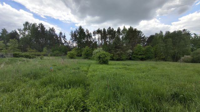 Działka budowlana Kielce Słowik-Willa, ul. Charsznicka. Zdjęcie 7