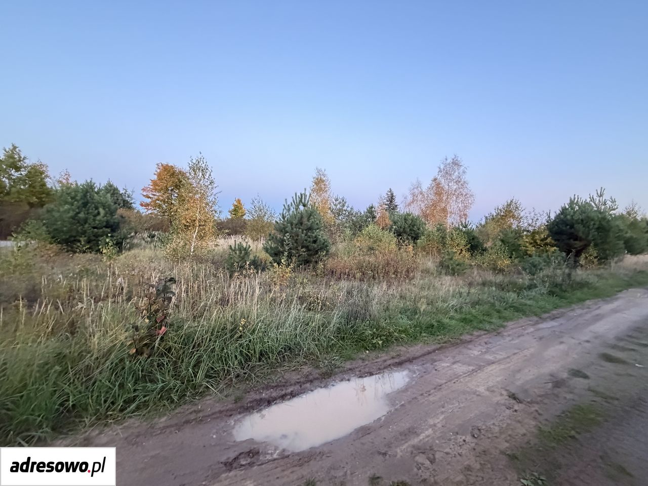 Działka budowlana Joniec-Kolonia. Zdjęcie 3