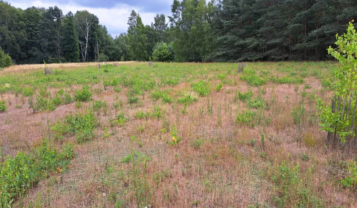 Działka budowlana Benenard, ul. Graniczna