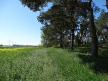 Działka rolna Parsów. Zdjęcie 1