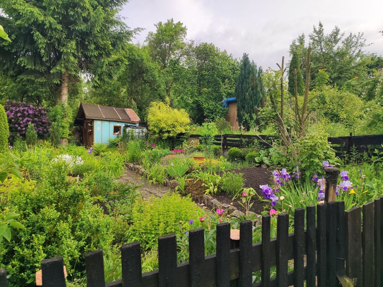 Działka rod Wałbrzych, ul. marsz. Józefa Piłsudskiego. Zdjęcie 7