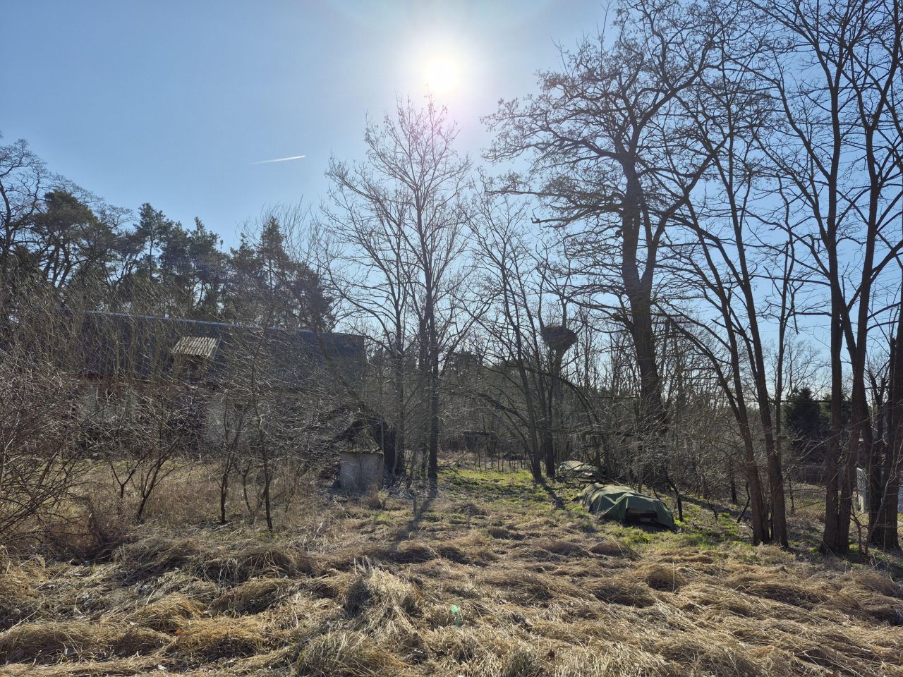 Działka siedliskowa Kuczki. Zdjęcie 3