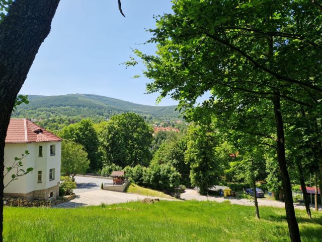 Działka budowlana Świeradów-Zdrój, ul. Lipowa. Zdjęcie 3