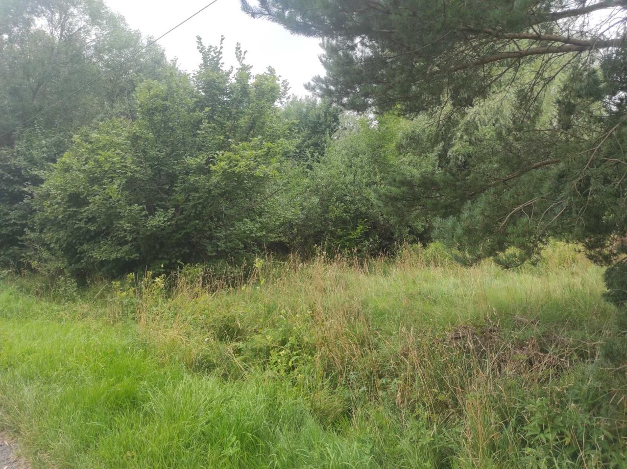 dom wolnostojący Rząśnik. Zdjęcie 8