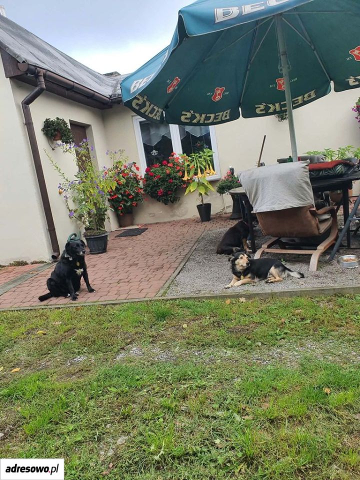 dom wolnostojący, 2 pokoje Lublin Zemborzyce, ul. Roślinna. Zdjęcie 5