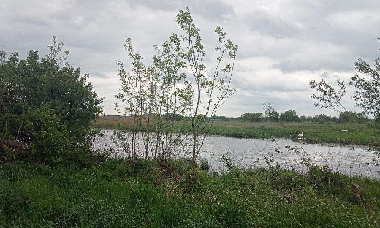 siedlisko, 2 pokoje Kock. Zdjęcie 4