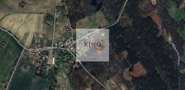 Działka rolna Rogówko. Zdjęcie 2