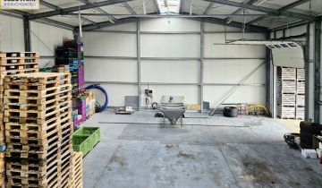 Hala/magazyn Wojciechów