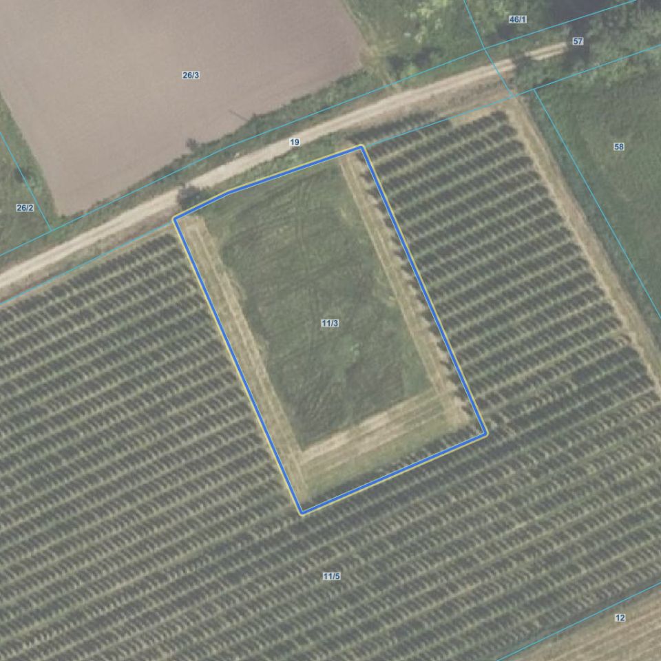 Działka rolna Miedzechów. Zdjęcie 6