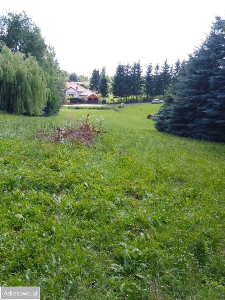 Działka rolna Konopnica. Zdjęcie 5