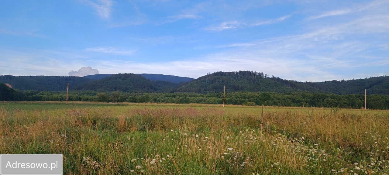 Działka budowlana Gajnik. Zdjęcie 6