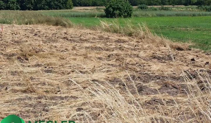 Działka budowlana Chrzanów Mały