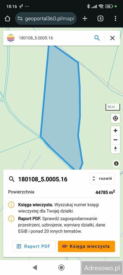 Działka leśna Daszówka. Zdjęcie 3