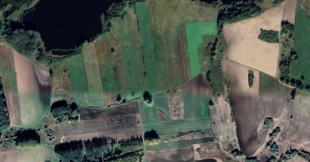 Działka rolna Głazów. Zdjęcie 5