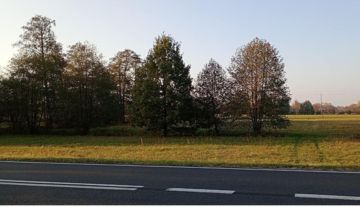 Działka budowlana Gniewniewice Folwarczne