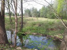 Działka rolno-budowlana Tylkowo. Zdjęcie 1