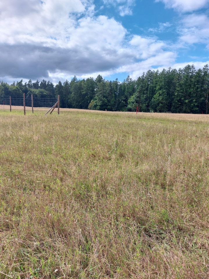 Działka budowlana Pieski. Zdjęcie 2