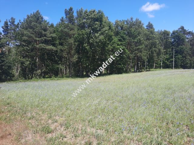 Działka budowlana Bolesławek. Zdjęcie 1