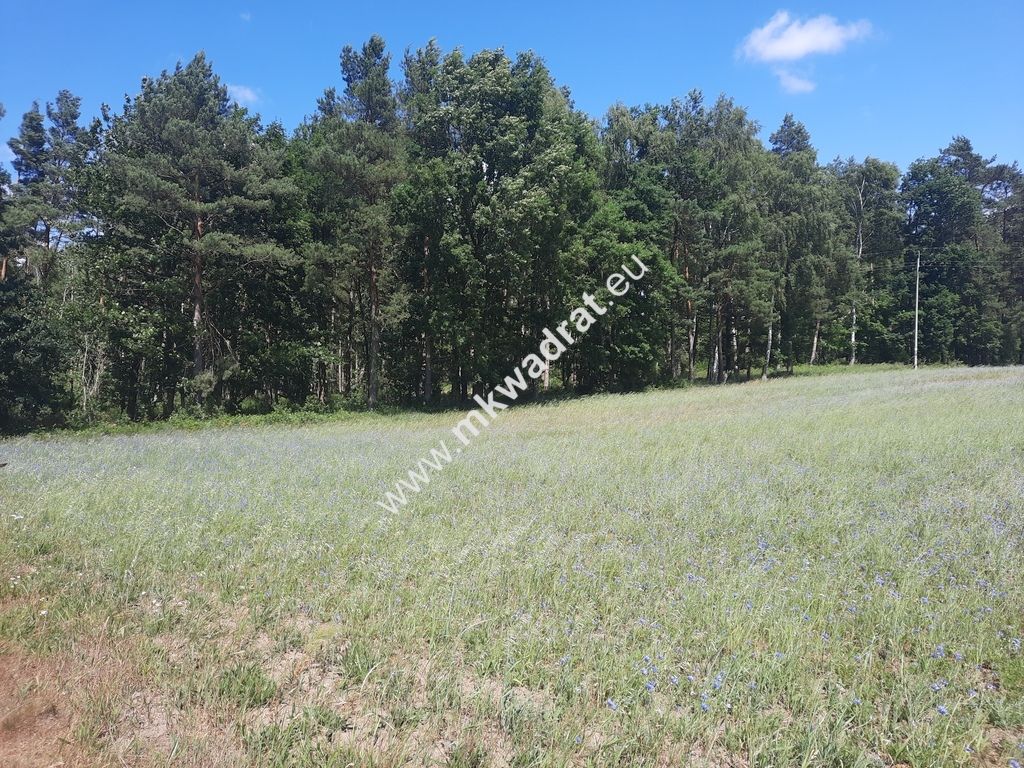 Działka budowlana Bolesławek. Zdjęcie 1