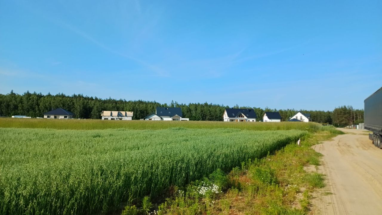 Działka budowlana Zosin, Strusia. Zdjęcie 7