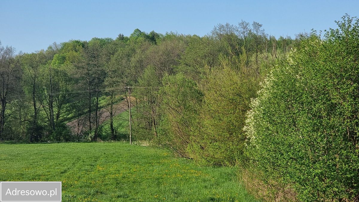 Działka rolna Łąki. Zdjęcie 2