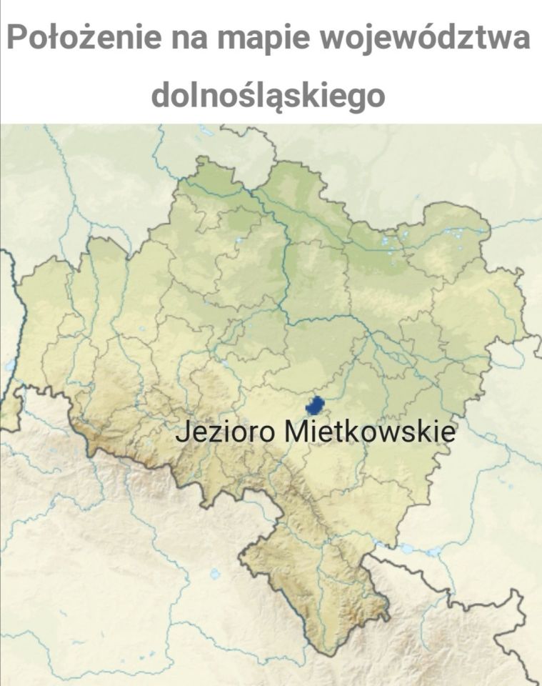 Działka budowlana Borzygniew. Zdjęcie 6