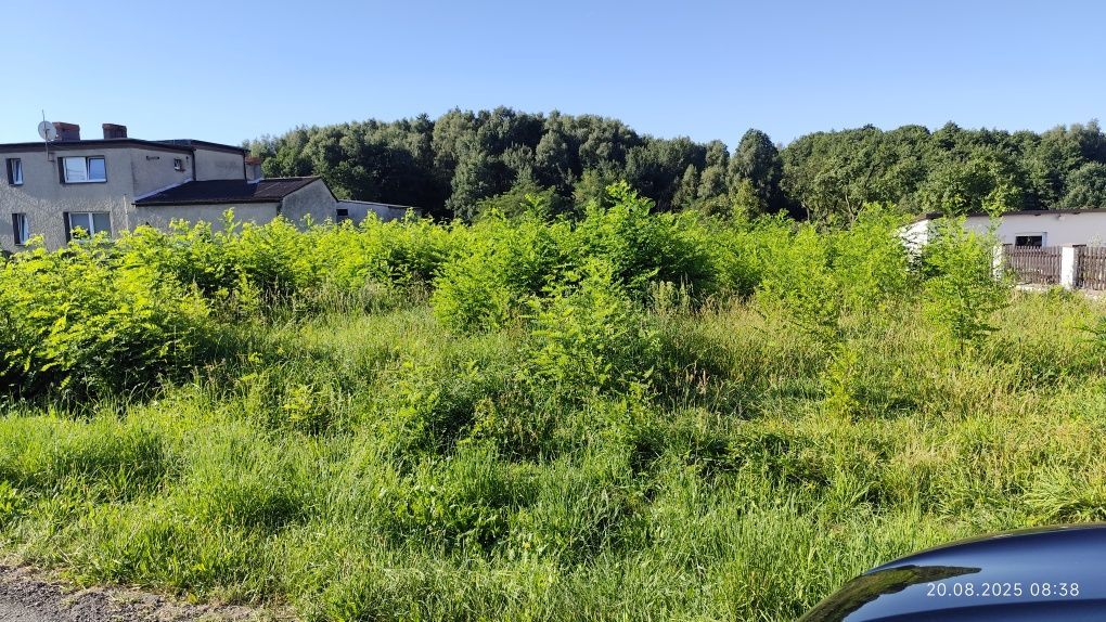 Działka budowlana Kobyla, ul. Główna. Zdjęcie 2