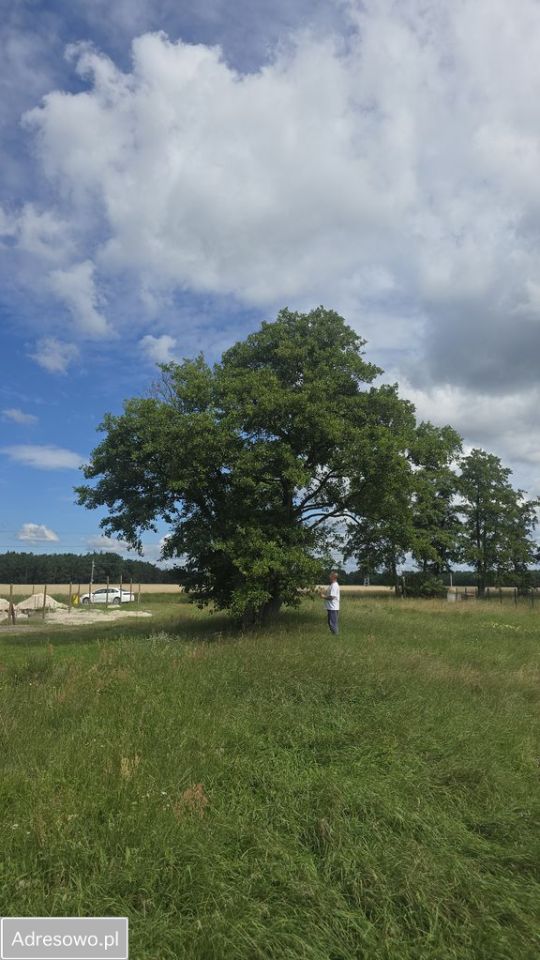 Działka budowlana Kruszyn Krajeński, ul. Zbożowa. Zdjęcie 7