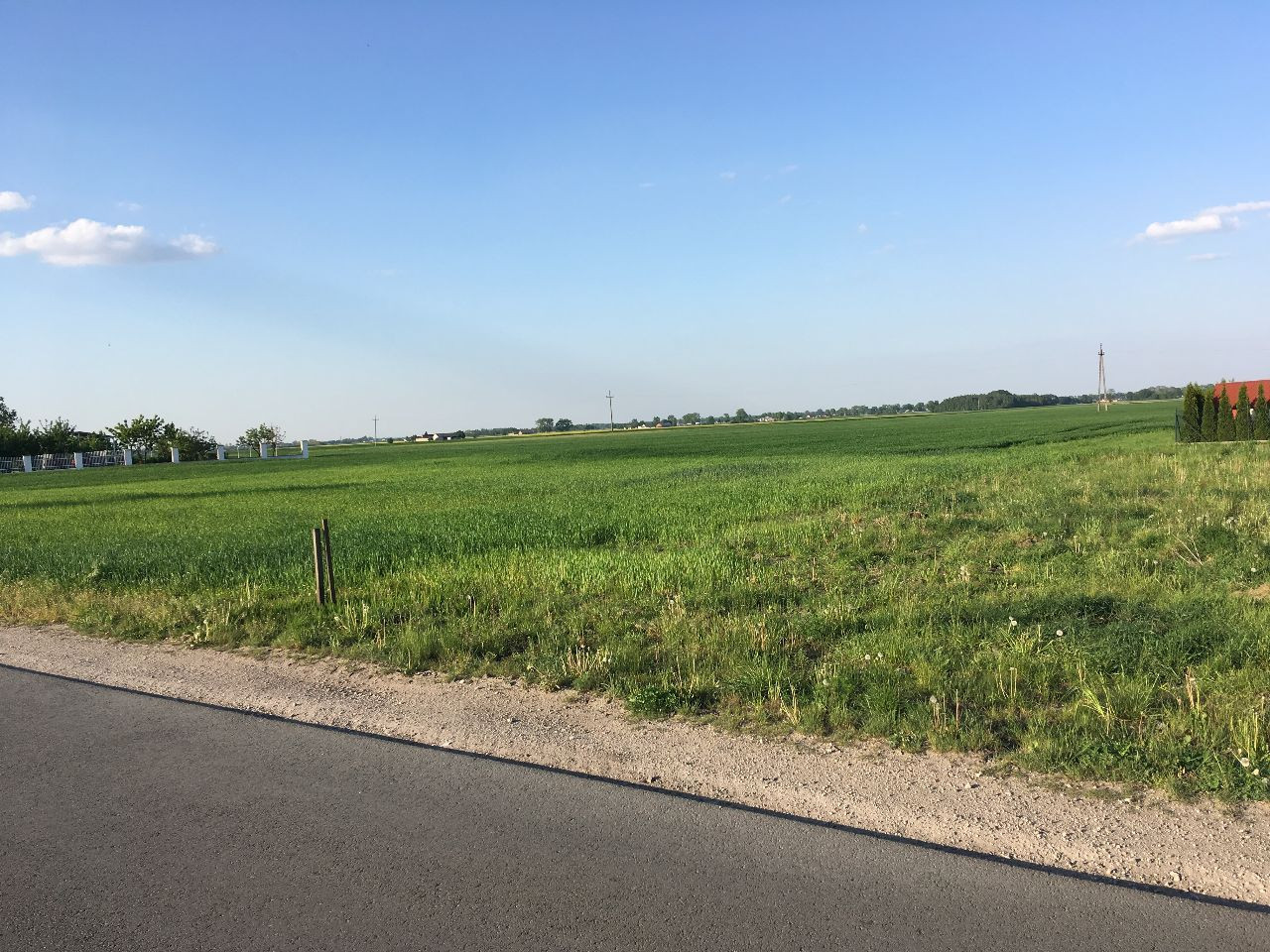 Działka budowlana Jacewo. Zdjęcie 2