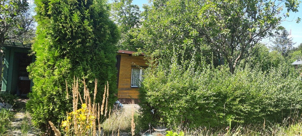 Działka rekreacyjna Sosnowiec