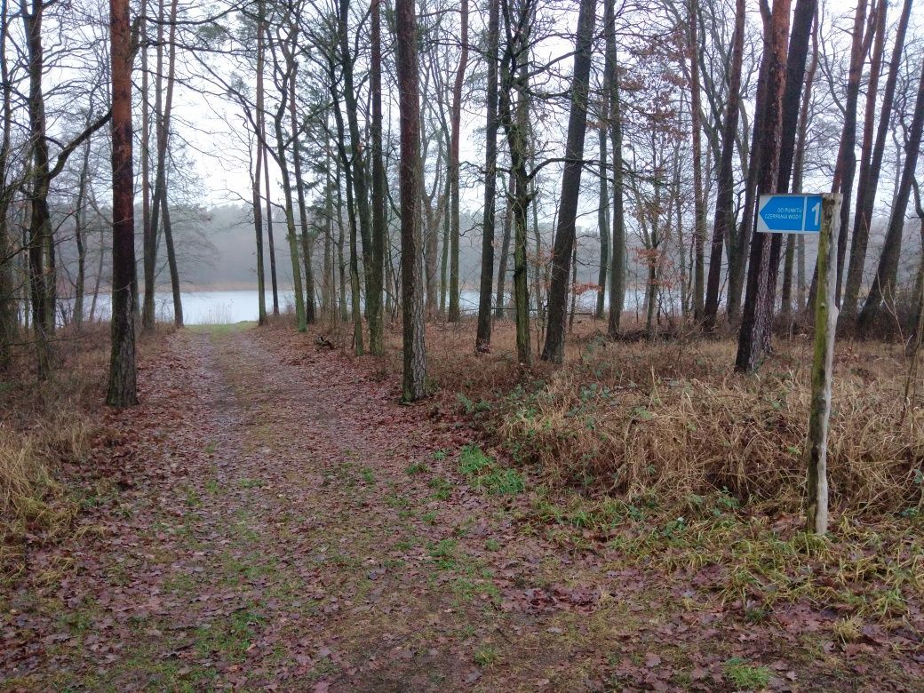 Działka rolna Ciszkowo. Zdjęcie 4