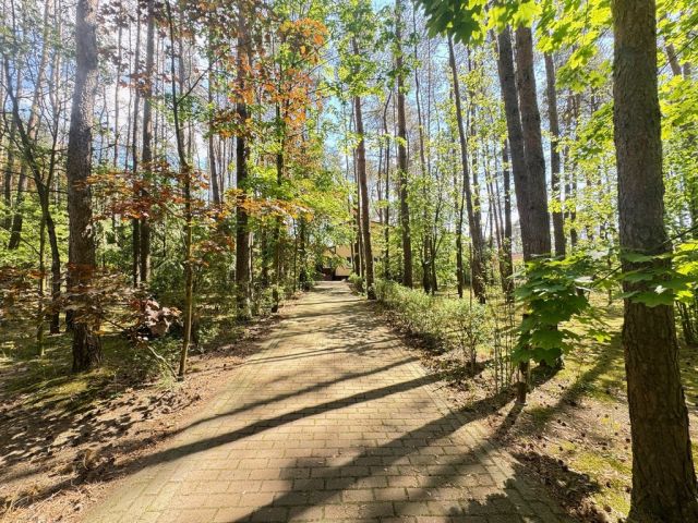 dom wolnostojący, 4 pokoje Ostrowsko. Zdjęcie 1