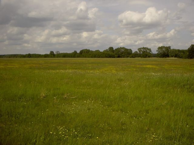 Działka rolna Barzyna. Zdjęcie 1