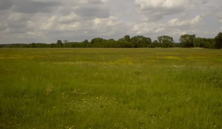 Działka rolna Barzyna