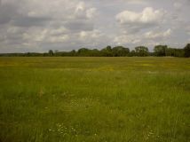 Działka rolna Barzyna