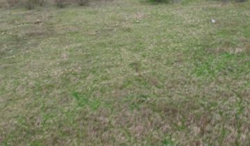 Działka budowlana Ścinawa, ul. Ogrodowa